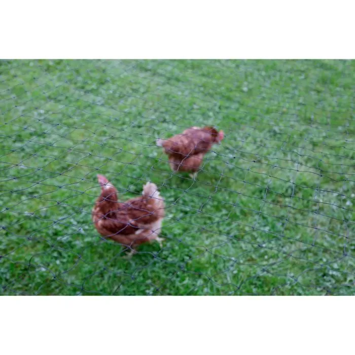 Kerbl KER4018653244074 Neta protectora para aves de corral, malla de 60 mm, 10 x 5 m, color negro 1