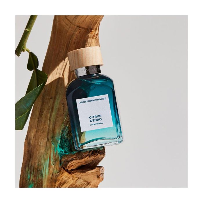 Adolfo Dominguez Agua Fresca Citrus Cedro Eau de Toilette Vaporizador Hombre 60 ml