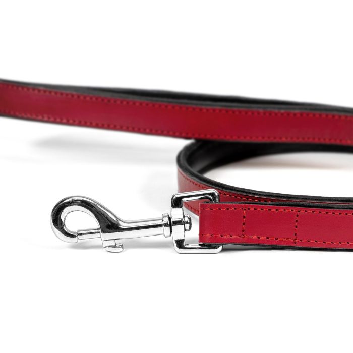 Correa para Perro Gloria 1.8 x 100 cm Rojo 4 Correa para Perro Gloria 1.8 x 100 cm Rojo 4