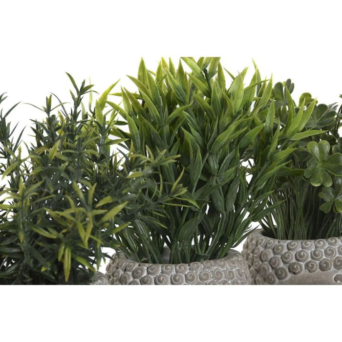 Planta DKD Home Decor Gris Verde 10 x 21 x 10 cm (3 Unidades) 1