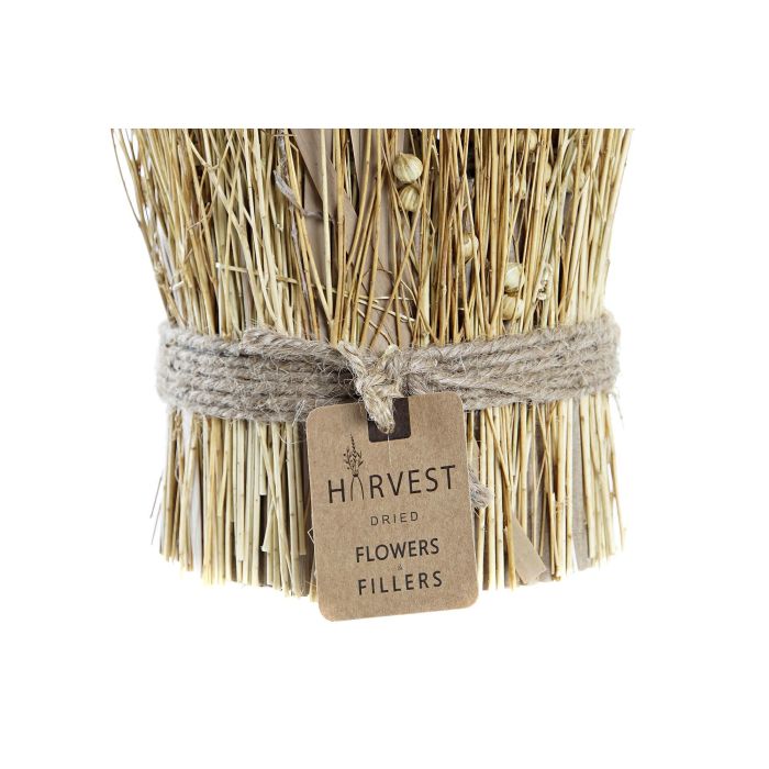 DKD Home Decor Bouquet Shabby Natural Flor Seca Tishi Linaza 12 x 31 x 12 cm (12 Unidades) 2