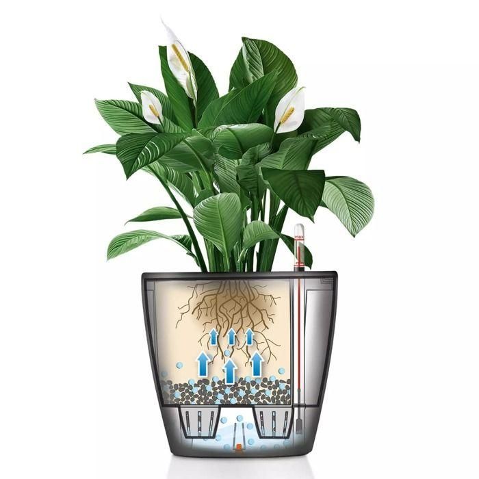 Jardinera - LECHUZA - Classico 35 LS ALL-IN-ONE - Blanco brillo - Sistema de riego - 13 L 1 Jardinera - LECHUZA - Classico 35 LS ALL-IN-ONE - Blanco brillo - Sistema de riego - 13 L 1