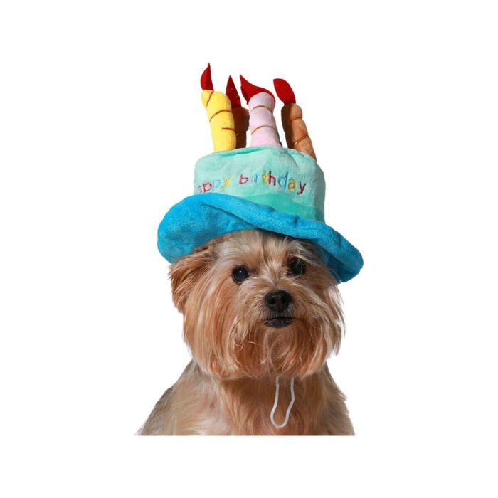 Disfraz para Perro Azul Gorro Cumpleaños 0 Disfraz para Perro Azul Gorro Cumpleaños 0