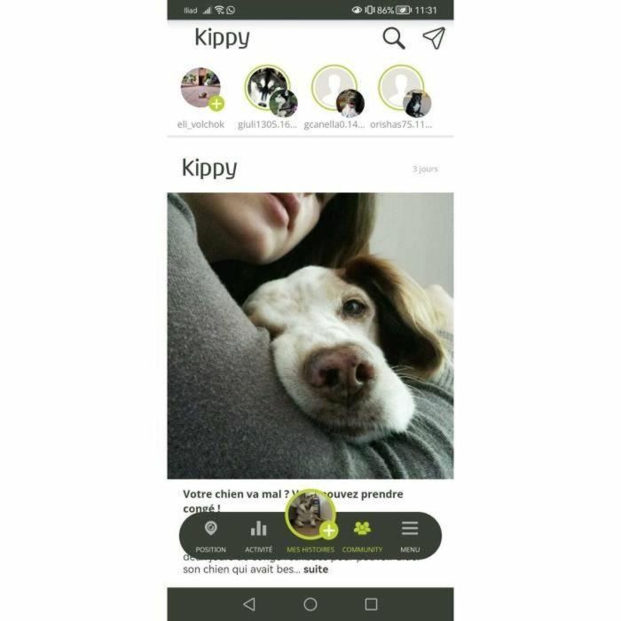 Kippy KIP8058669290654 Localizador GPS EVO, Amarillo Limón 2