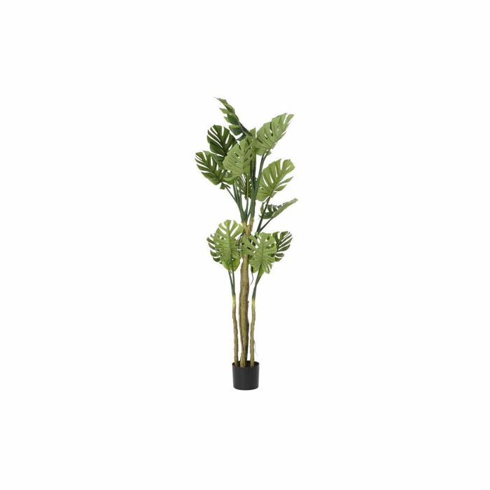 Arbol Terraza Y Jardin DKD Home Decor Verde Marron 75 x 180 x 75 cm