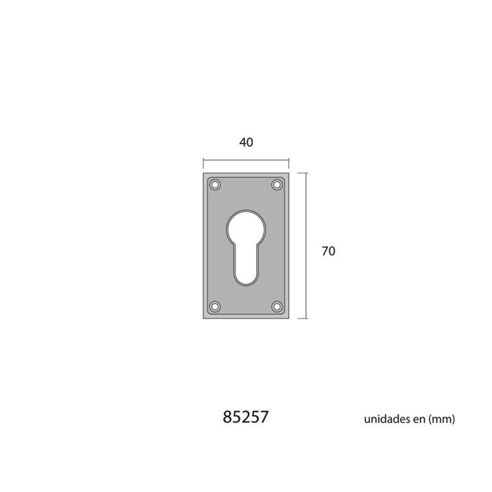 Edm Bocallave 40x70mm Latón Color Oro Viejo 2