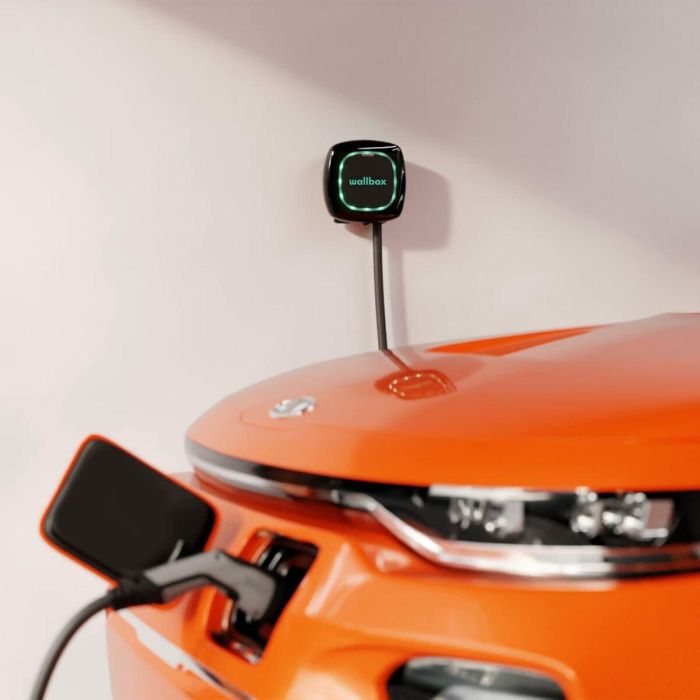 Cargador de Coche Wallbox PLP1-0-2-4-9-002 7400 W 5 Cargador de Coche Wallbox PLP1-0-2-4-9-002 7400 W 5