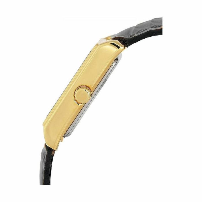 Reloj Mujer Casio LTP-1234PGL-7A2EF 2 Reloj Mujer Casio LTP-1234PGL-7A2EF 2