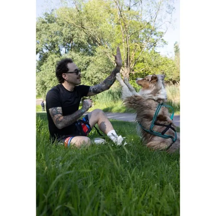 Cani C Gear Arnés de tracción para perros X-back Azul Talla L AUC3760402170301 5