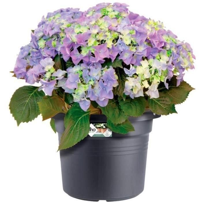 Basos verdes Red Round Flower Pot - Plastic - Ø45 - Terracota suave 2 Basos verdes Red Round Flower Pot - Plastic - Ø45 - Terracota suave 2
