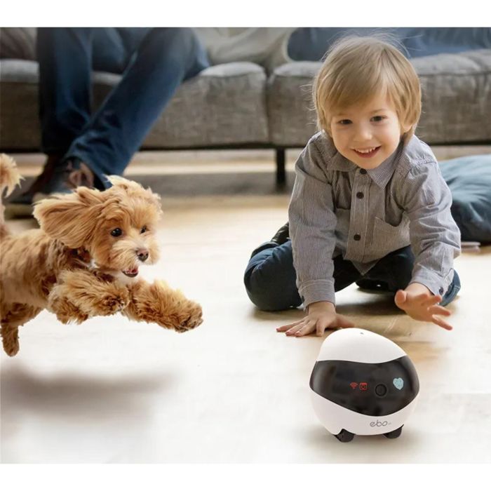 Enabot EBO SE Robot Mascota con Cámara 1080p, WiFi, App, Visión Nocturna y Láser 6 Enabot EBO SE Robot Mascota con Cámara 1080p, WiFi, App, Visión Nocturna y Láser 6