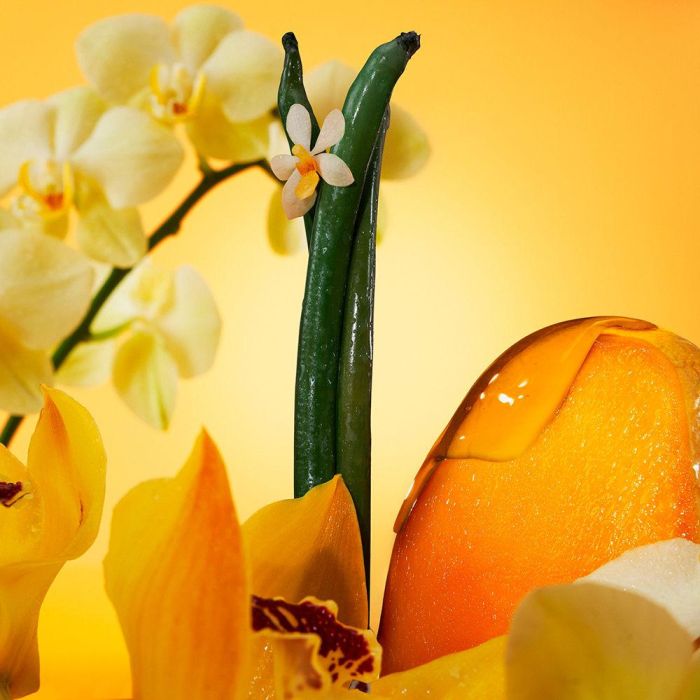 Calvin Klein Euphoria Solar Elixir - Perfume Eau de Parfum Vaporizador 100 ml para Mujer 4 Calvin Klein Euphoria Solar Elixir - Perfume Eau de Parfum Vaporizador 100 ml para Mujer 4