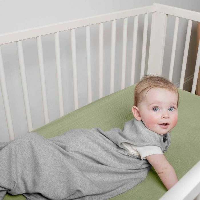 Ingenuity ING0074451173941 Saco de dormir para bebé con diseño de pájaros, TOG 2.5, 3-18 meses, Certificado Oeko-Tex 3 Ingenuity ING0074451173941 Saco de dormir para bebé con diseño de pájaros, TOG 2.5, 3-18 meses, Certificado Oeko-Tex 3