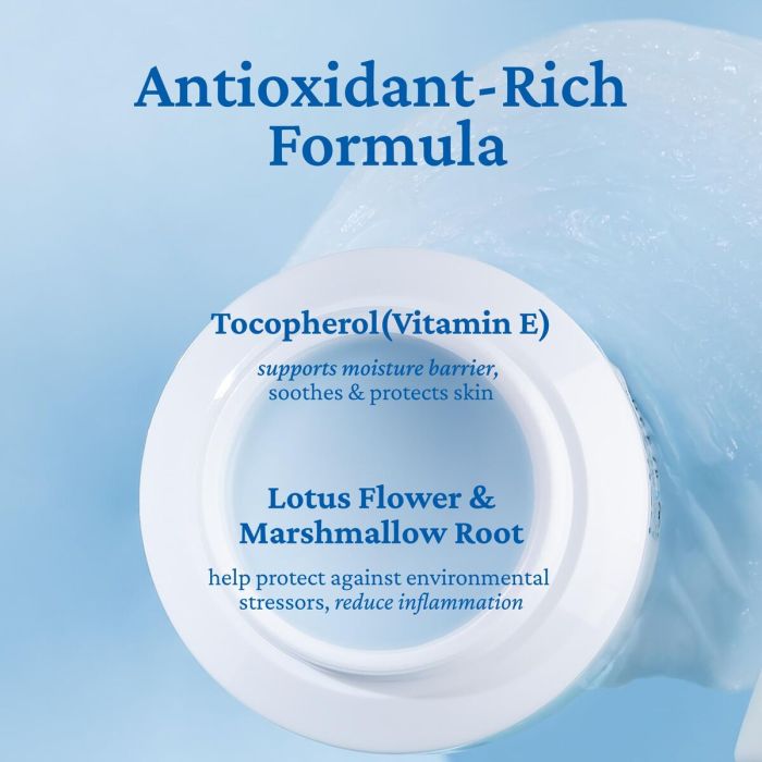 Desmaquillante Facial Belif AQUA BOMB 100 ml 2