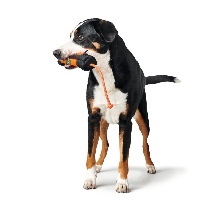 Hunter Portasnacks Entrenamiento Con Cuerda Naranja-Negro 20cm Polyester 4 Hunter Portasnacks Entrenamiento Con Cuerda Naranja-Negro 20cm Polyester 4