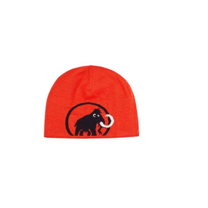 Gorro Mammut 1191-04892-0001 Negro 2