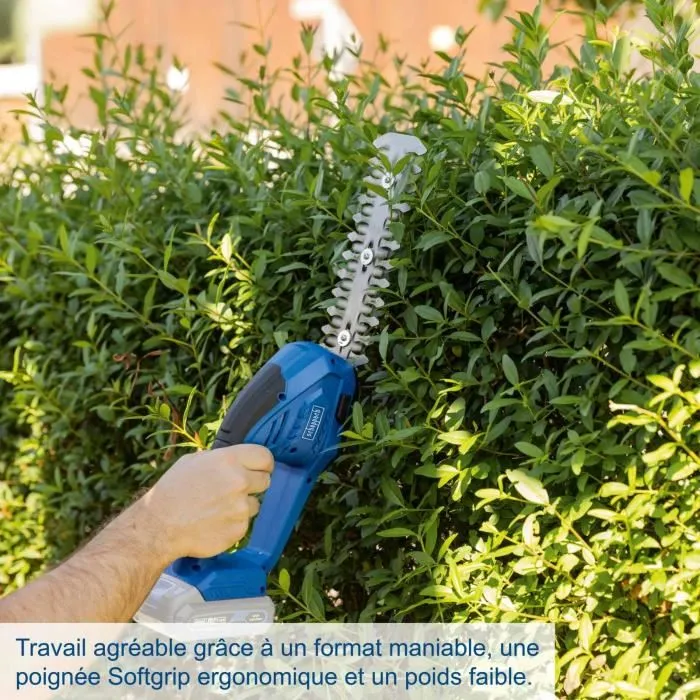 Scheppach Cortadora de Césped y Cortasetos Inalámbrica C-HTGS200-X, Set S 2 en 1 con Batería IXES 20V 2Ah y Cargador