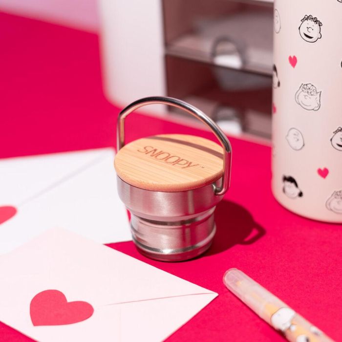 Botella acero inoxidable Snoopy Peanuts 500ml 2