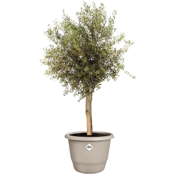 ELHO Maceta Amiga Round 55, 55 L, Ø 55 x H 51 cm, Color Beige, Para Exterior