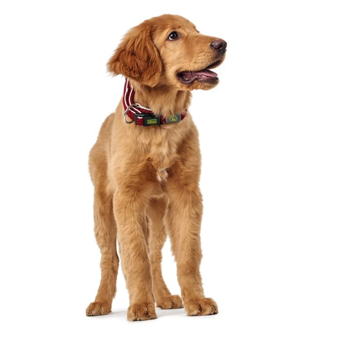 Hunter Collar Hilo Vario Plus L Perro Malla 3D Transpirable Refrescante Reflectante Cuello 40-60 cm Rojo 32mm 3