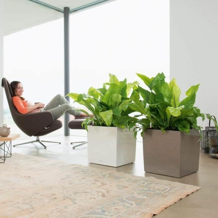 Lechuza LEC4008789163608 Maceta Cube Premium 40 - juego completo, blanco brillante 2 Lechuza LEC4008789163608 Maceta Cube Premium 40 - juego completo, blanco brillante 2