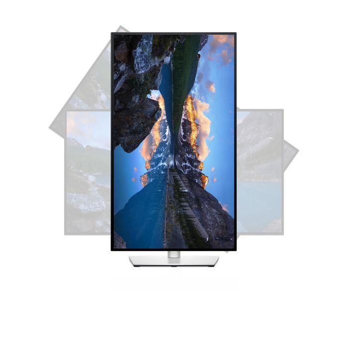 Dell 68.6cm (27") Quad HD 2560 x 1440 LED IPS, 16:9, 350cd/m², 1.07B, 8ms, 178°/178°, 1000:1 7