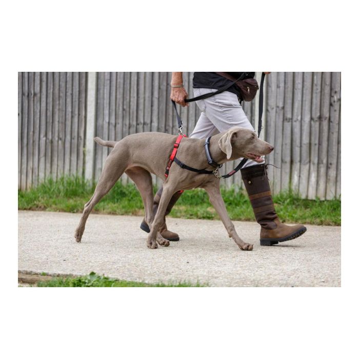 Halti Arnés de Control Delantero, ideal para Perros Medianos y Grandes, Talla L (cintura 80-120cm), Negro-Rojo 5