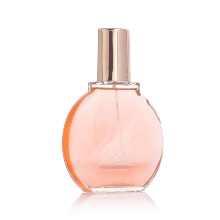 Vanderbilt MISS VANDERBILT edt vapo 100 ml - Fragancia floral con notas de neroli, rosa y ylang-ylang 1 Vanderbilt MISS VANDERBILT edt vapo 100 ml - Fragancia floral con notas de neroli, rosa y ylang-ylang 1