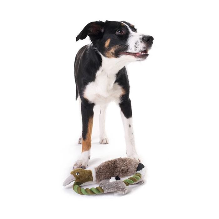 Juguete Para Perro Wildlife Train Pato 26 cm Juguete Para Perro Wildlife Train Pato 26 cm