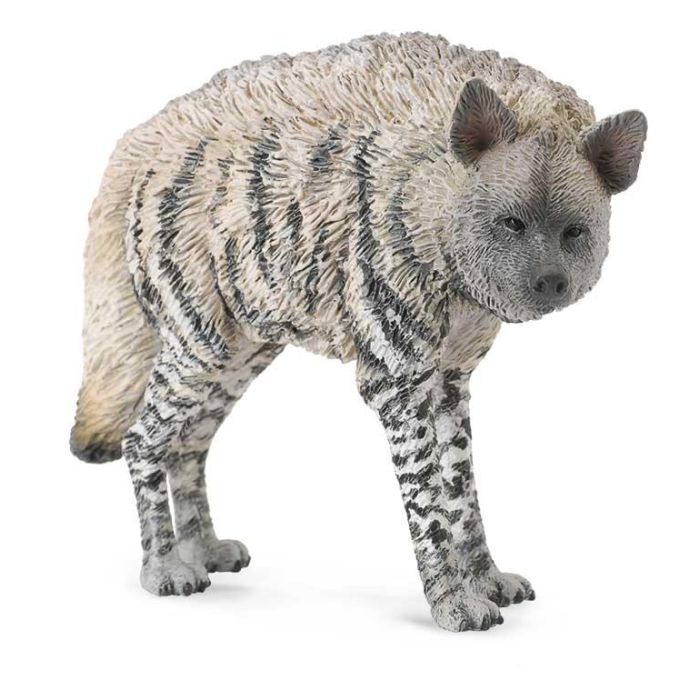 Collecta 88566 Hiena Rayada Figura Réplica Animal Salvaje Escala M Pintada a Mano Detallada Educativa +3 años Collecta 88566 Hiena Rayada Figura Réplica Animal Salvaje Escala M Pintada a Mano Detallada Educativa +3 años