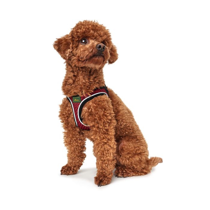 Arnés Hilo Comfort S Cuello: 42-48 cm Rojo 2 Arnés Hilo Comfort S Cuello: 42-48 cm Rojo 2