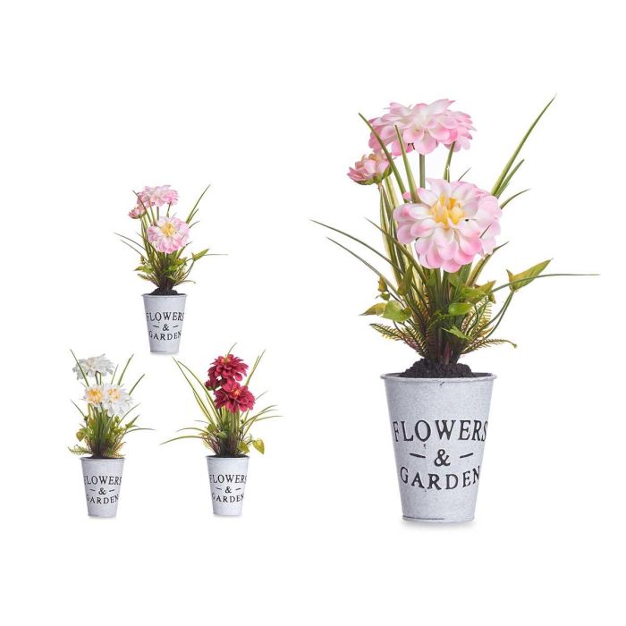 Planta Flor Abierta Bote Metal Surtidos Ibergarden 15X31CM (12 Unidades) Planta Flor Abierta Bote Metal Surtidos Ibergarden 15X31CM (12 Unidades)