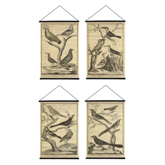 DKD Home Decor Lienzo Decorativo Cottage Beige 90x60 cm con Motivo de Pájaros, 2 cm de Fondo, Marco de Madera (Set de 4)