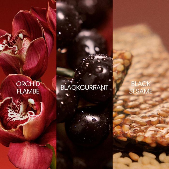 Perfume Mujer Calvin Klein EUPHORIA 50 ml 7 Perfume Mujer Calvin Klein EUPHORIA 50 ml 7