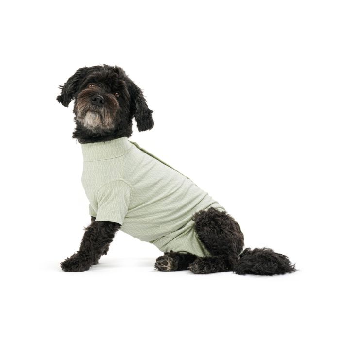 Body Suit Para Perro Buster Step Go Verde XS 1 Unidad Bambu