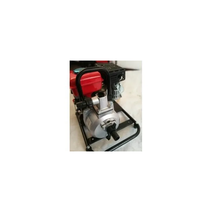 Elem Bomba de Agua Térmica 79.6cc 2.4hp Caudal 7000 L/H para Superficie de Hierro Fundido 3