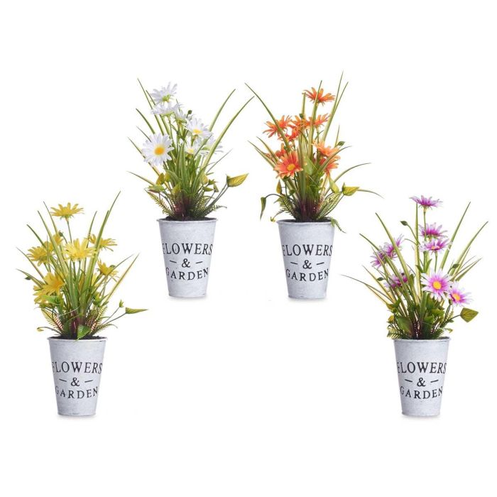 Planta Margarita Bote Metal Surtidos Ibergarden 15x31x15cm (12 Unidades) 1 Planta Margarita Bote Metal Surtidos Ibergarden 15x31x15cm (12 Unidades) 1