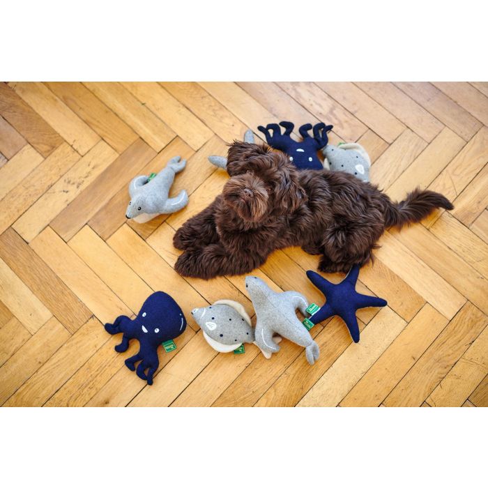 Hunter Juguete para Perro Skagen Estrella de Mar M Peluche con Material 100% Reciclado, Juguete para Acurrucarse y Jugar, Lavable a Máquina 3 Hunter Juguete para Perro Skagen Estrella de Mar M Peluche con Material 100% Reciclado, Juguete para Acurrucarse y Jugar, Lavable a Máquina 3