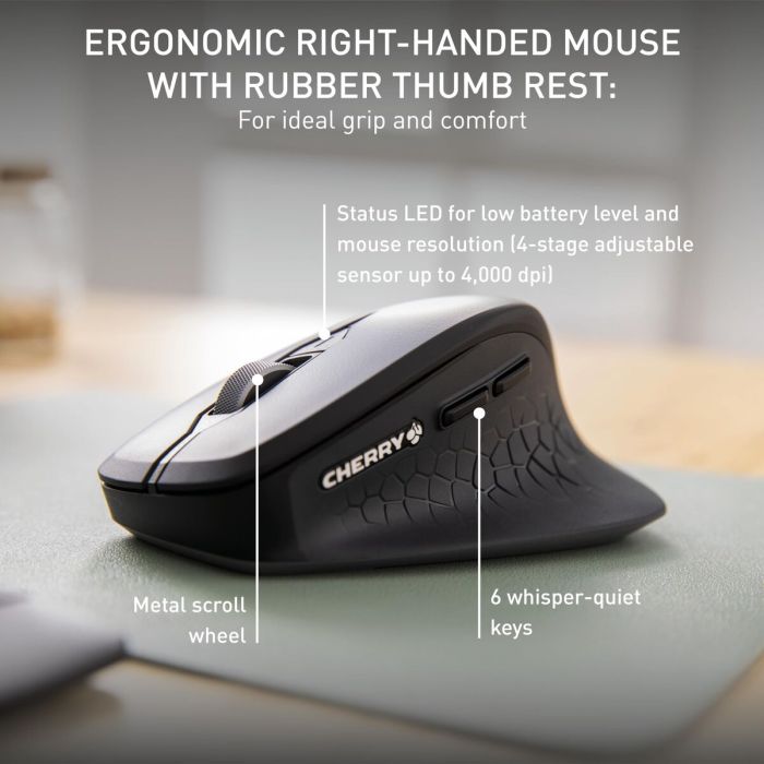 Teclado y Ratón Cherry JD-8550ES-2 Negro Español QWERTY 3