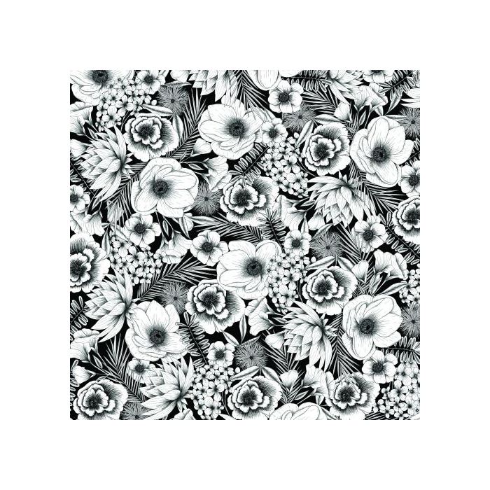 Cricut 2006781 Papel Transfer para Tejido, Transferencia Térmica, Negro y Blanco, 2 Piezas 1