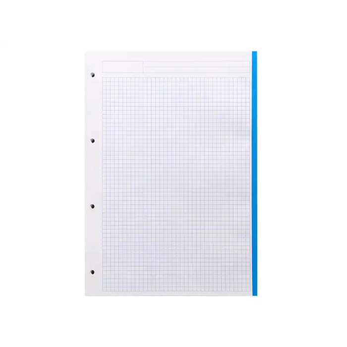 Liderpapel Recambio A4 100 Hojas 100gr Cuadro 5mm 4 Taladros Bandas 5 Colores 5
