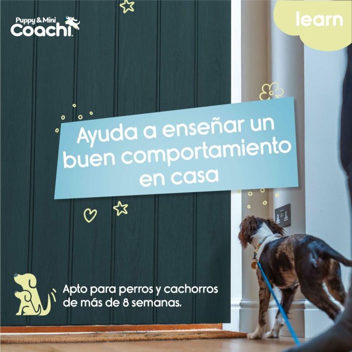 Arnés para Perro Coachi 3 Arnés para Perro Coachi 3