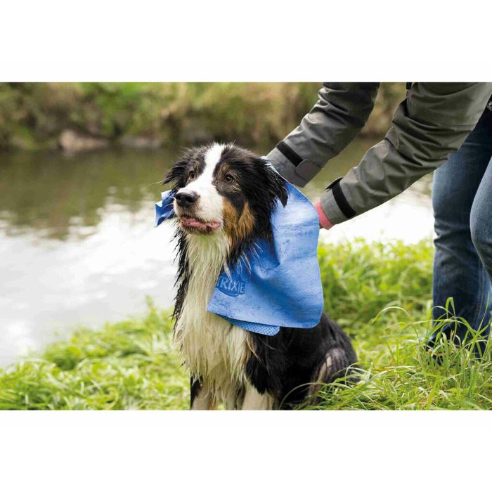 Toalla Trixie Azul 66 x 43 cm 1