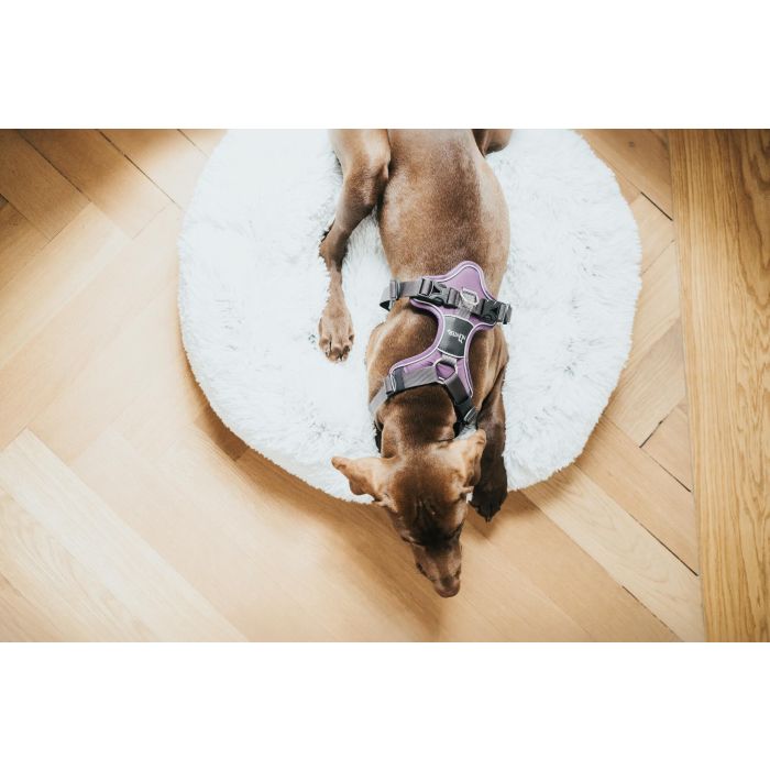 Arnés para Perro Hunter Divo Morado L/XL 79-107 cm 2 Arnés para Perro Hunter Divo Morado L/XL 79-107 cm 2