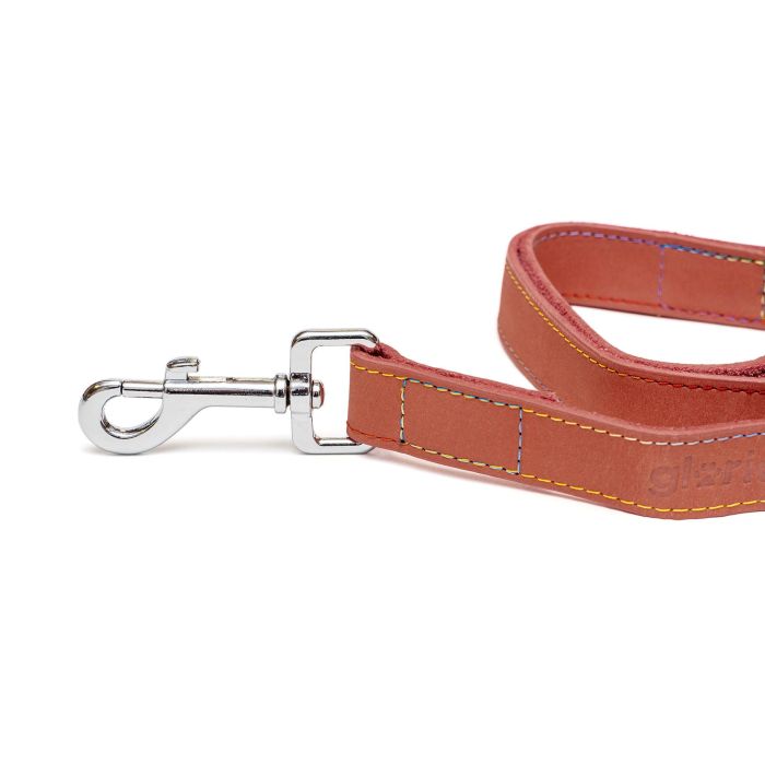 Gloria Correa Oasis para Perro de Cuero Alta Calidad Costuras Reforzadas y Mosquetón Retráctil Robusto 100 cm x 21 mm Rojo 4 Gloria Correa Oasis para Perro de Cuero Alta Calidad Costuras Reforzadas y Mosquetón Retráctil Robusto 100 cm x 21 mm Rojo 4