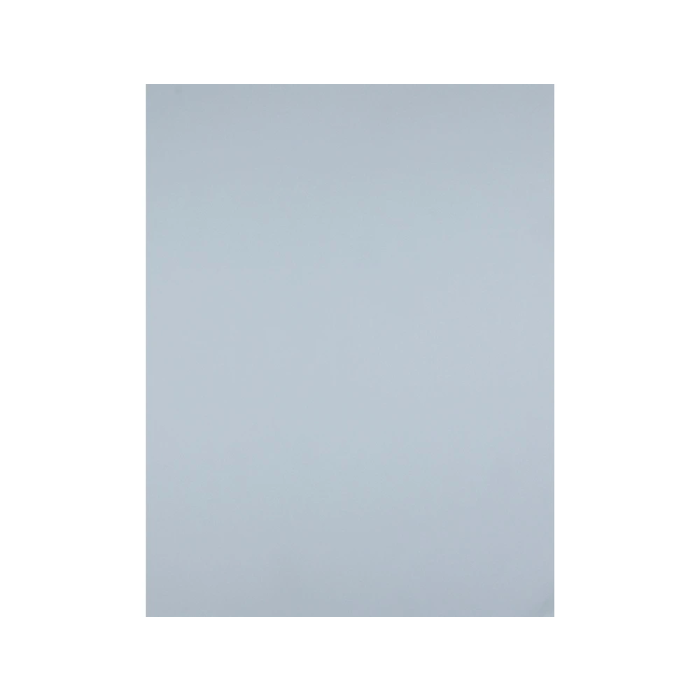 Liderpapel Cartulina 50x65 cm 180 gr Gris Unidad para Dibujo y Manualidades 1