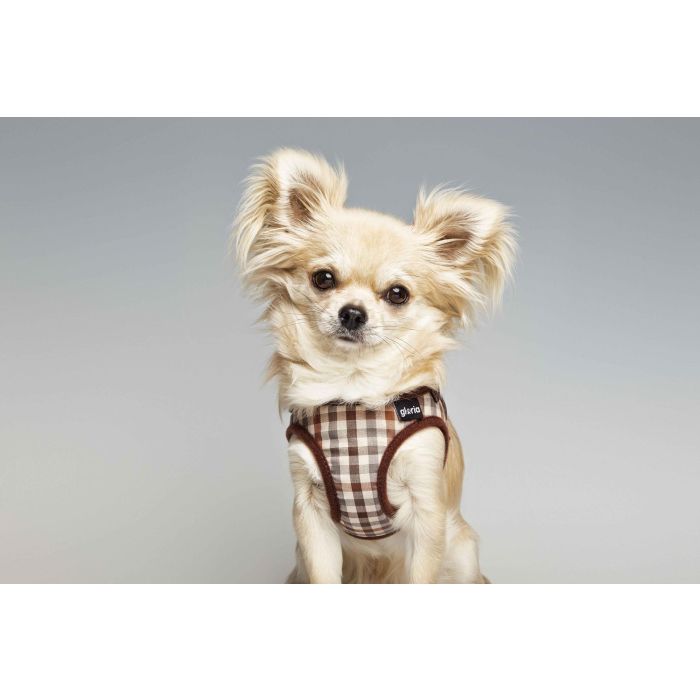 Petral Checked XS Cuello 17-22 cm 1 Petral Checked XS Cuello 17-22 cm 1