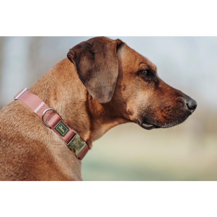 Hunter Collar Inari Alu-Strong para Perro, Ajustable, Cuello 40-55 cm, 20 mm Ancho, Rojo, Cierre Rápido de Aluminio 200kg 3