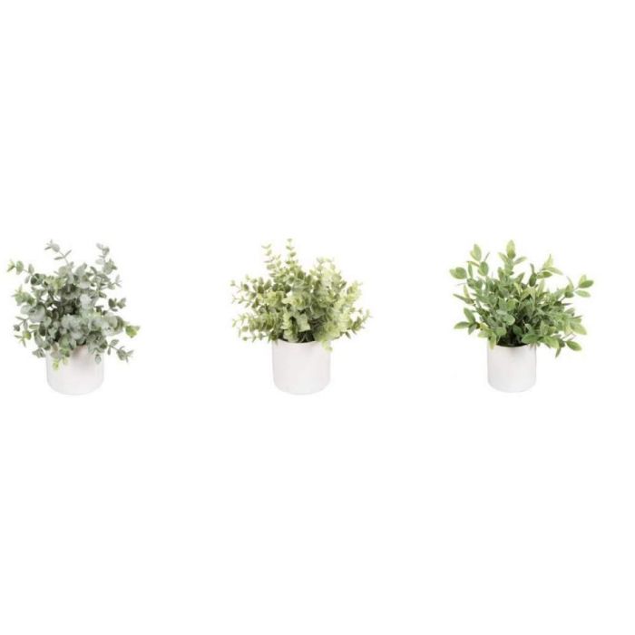 Planta DKD Home Decor Verde 15 x 20 x 15 cm (6 Unidades) Planta DKD Home Decor Verde 15 x 20 x 15 cm (6 Unidades)