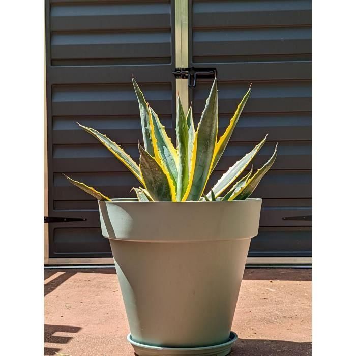 Riviera RIV3580794150725 Jardinera Redonda Plástico, Diámetro 50 cm, Verde Arcilla Riviera RIV3580794150725 Jardinera Redonda Plástico, Diámetro 50 cm, Verde Arcilla